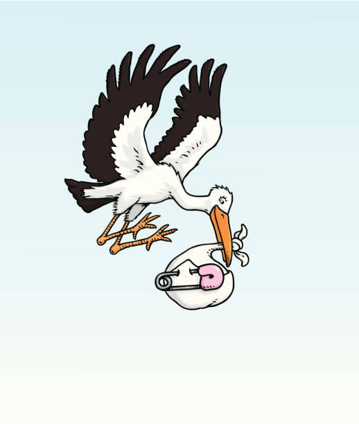 istock stork delivering a baby girl 165722511