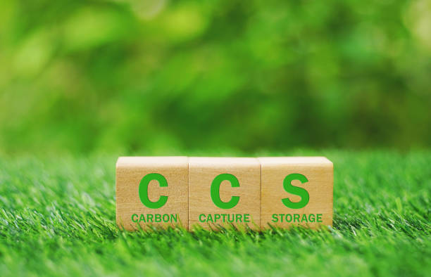 istock Carbon Capture Storage (CCS) concept of environmental.Reducing carbon emissions commitment to limit climate change and global warming.Net zero action, Save green energy, reduce carbon footprint. 1657225260