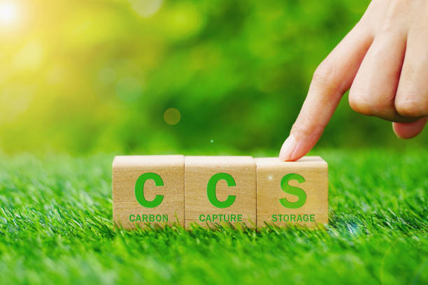 istock Carbon Capture Storage (CCS) concept of environmental.Reducing carbon emissions commitment to limit climate change and global warming.Net zero action, Save green energy, reduce carbon footprint. 1657225784