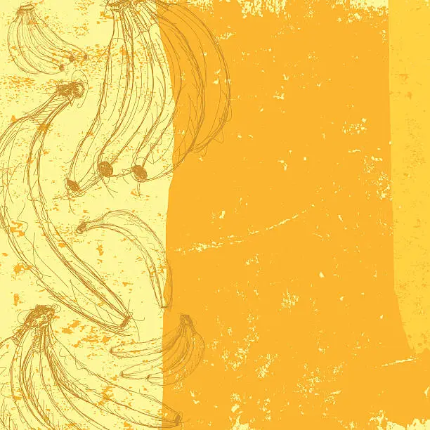 Vector illustration of banana background