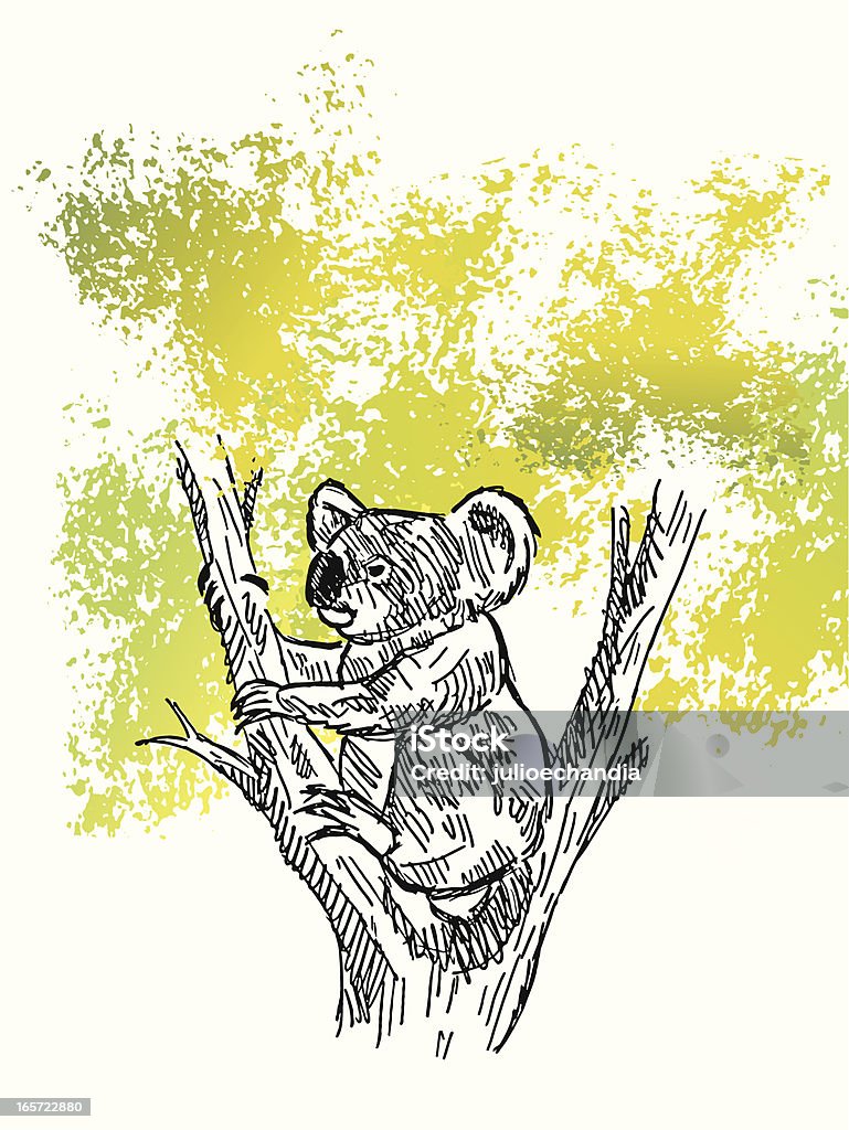 koala - Grafika wektorowa royalty-free (Australia)