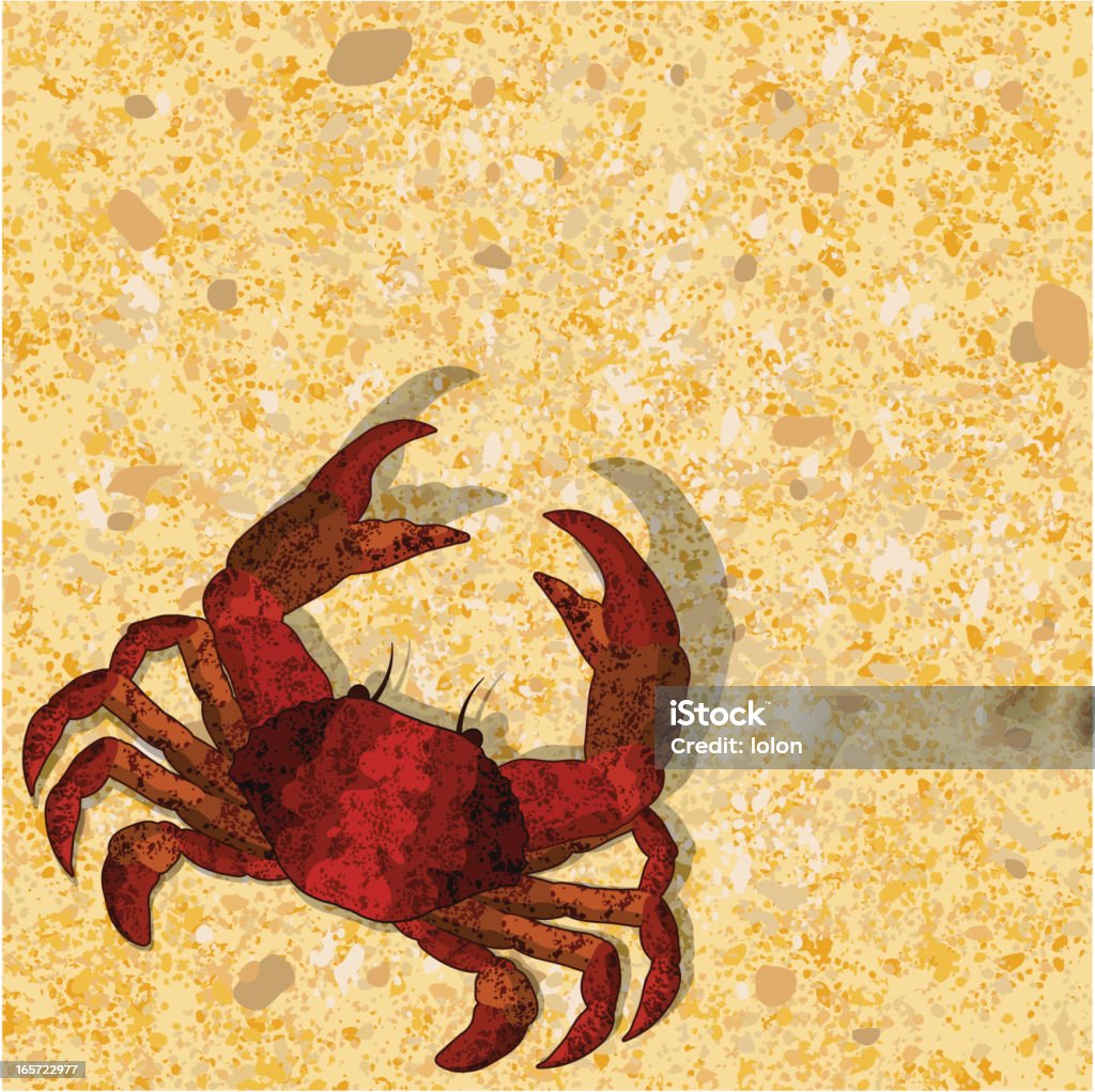 red Krab na piasek - Grafika wektorowa royalty-free (Czerwony)