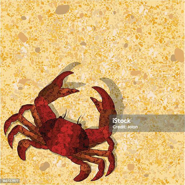 Caranguejo Na Areia Vermelha - Arte vetorial de stock e mais imagens de Vermelho - Vermelho, Amarelo, Animal