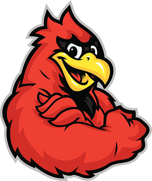 Kid Cardinal Mascot This Kid Cardinal is confidently flexing his muscle. cardinal mascot stock illustrations