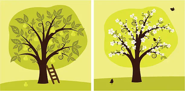 Vector illustration of Pear Tree