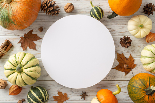 Embrace the autumn harvest ambiance. Top-down view displays ripe pumpkins and seasonal attributes on a white wooden backdrop, providing copy-space for text or ads to encapsulate the fall concept