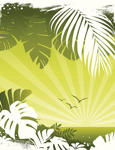 Tropical palm sunset vector art illustration