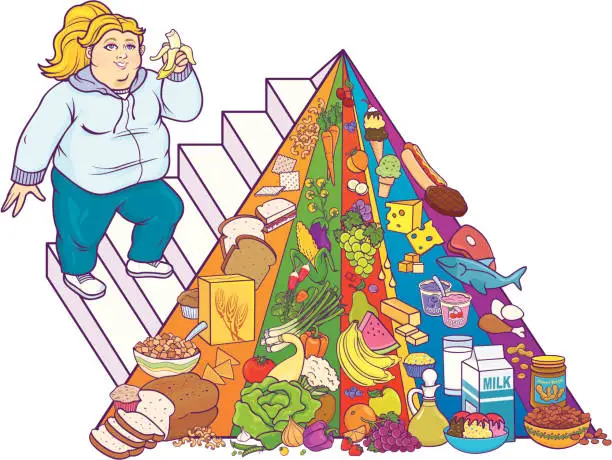 Vector illustration of Food Pyramid Fat Girl - white version