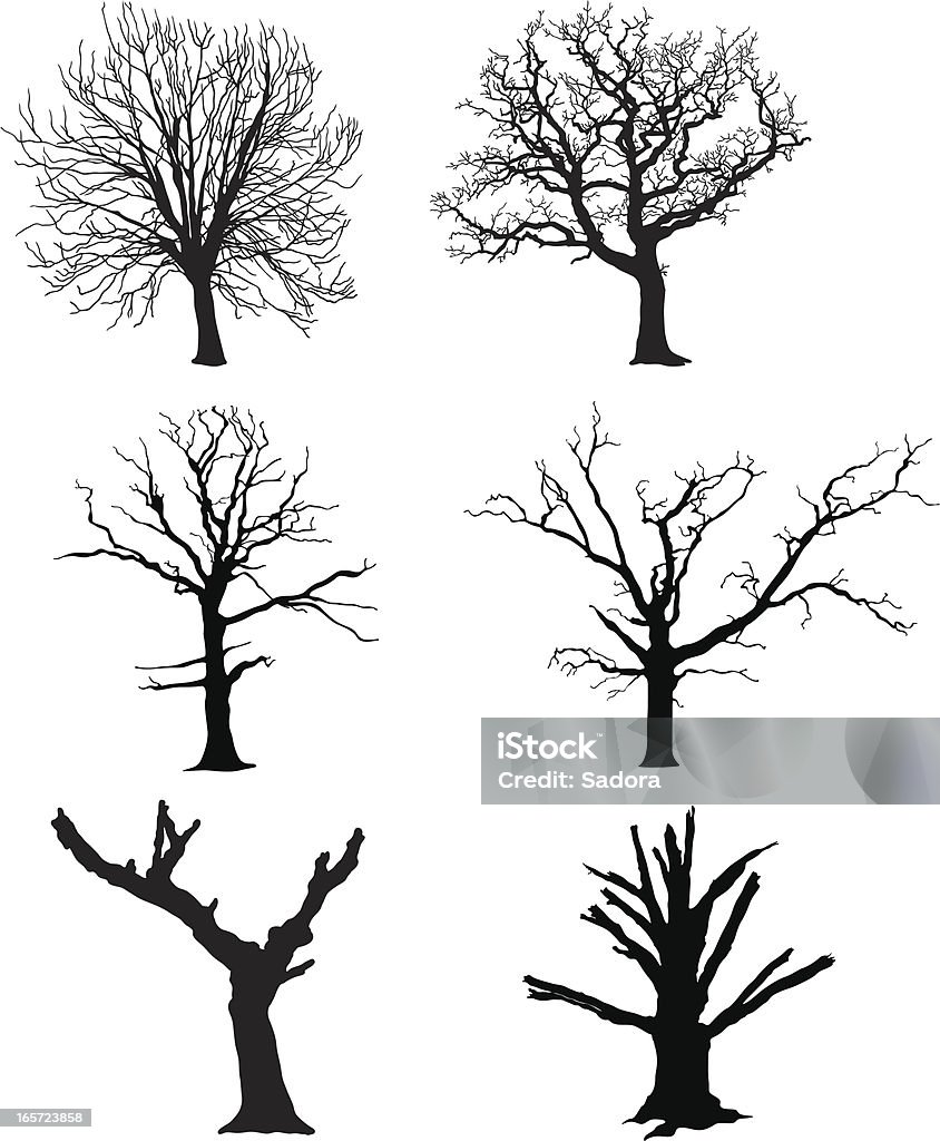 Dead Tree Dead Tree Vector Illustration Tree stock vector