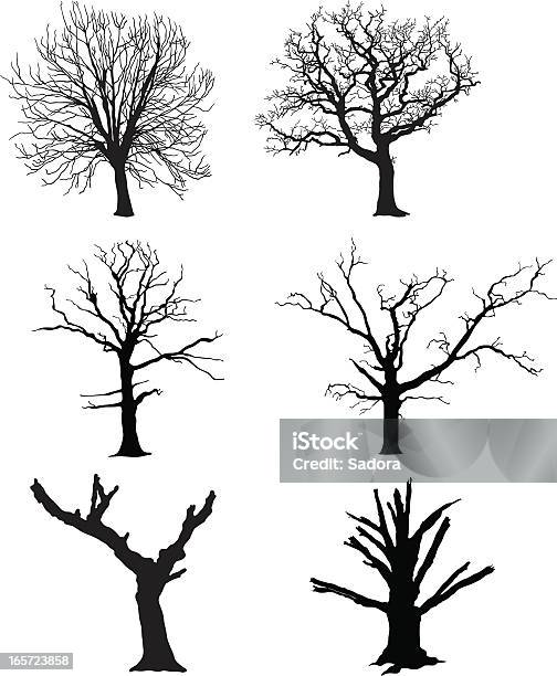 Dead Tree Stock Illustration - Download Image Now - Tree, Dead Plant, White Background