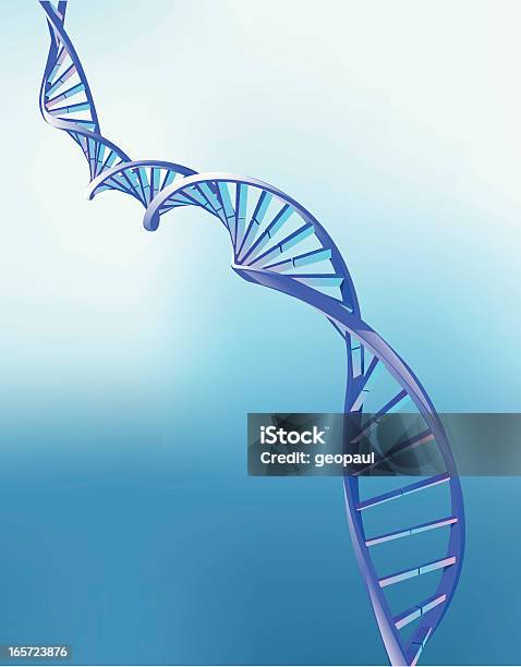 Animation Of Double Helix Strand Of Dna Stock Illustration - Download Image Now - DNA, Vector, Helix Model