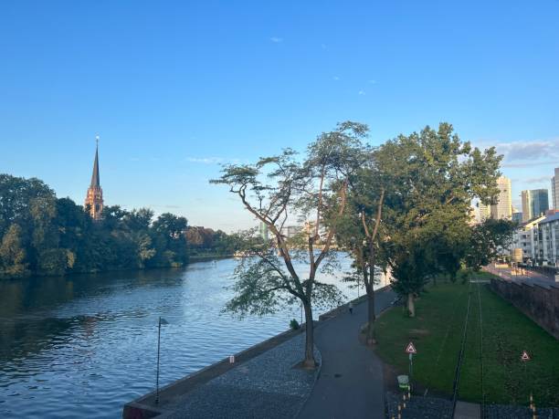 istock Riverfront and skyline of Frankfurt 1657240390