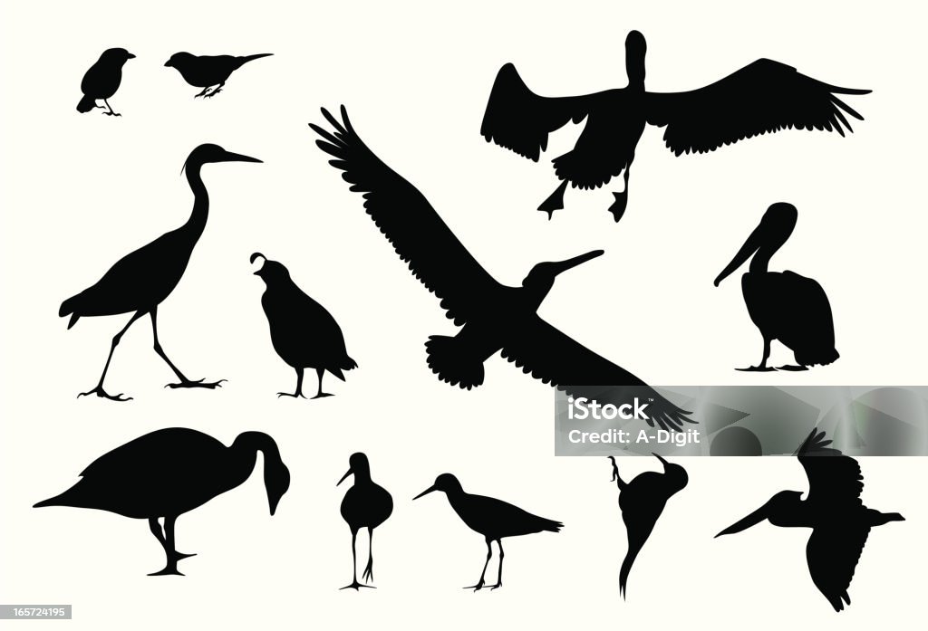 VariousBirds - arte vectorial de Silueta libre de derechos