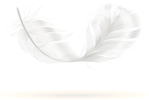 Flying feather on white background. Very detailed illustration.