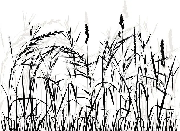 Vector illustration of Meadow Silhouette