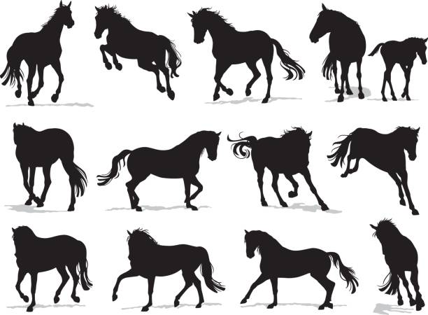 Running Horses Silhouette Set Set of vector horse silhouettes with shadow. horse outlines silhouette stock illustrations