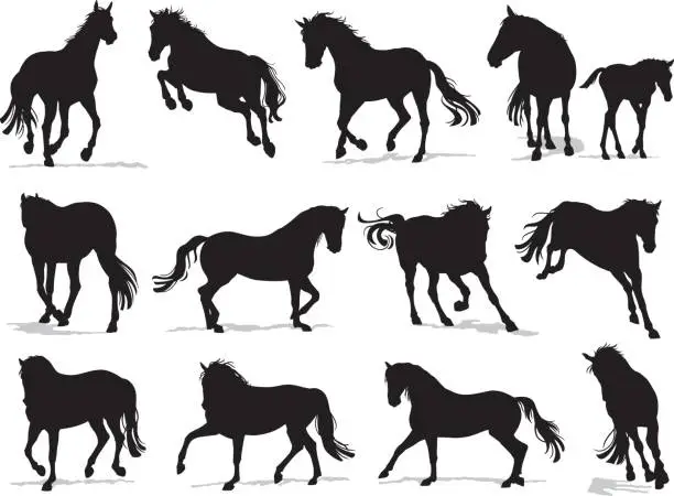 Vector illustration of Running Horses Silhouette Set