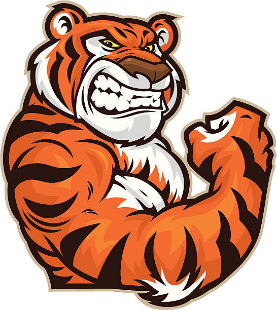 Tiger Mascot Flexing This Flexing Tiger mascot is ready for the good fight. tiger mascot stock illustrations