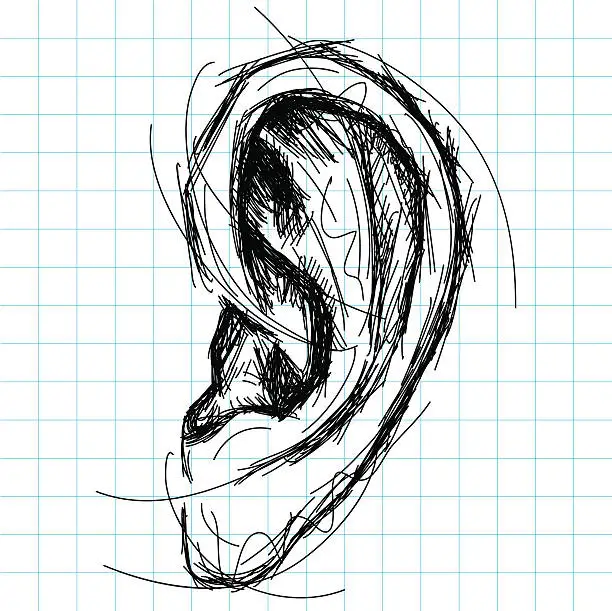 Vector illustration of sketchy human ear