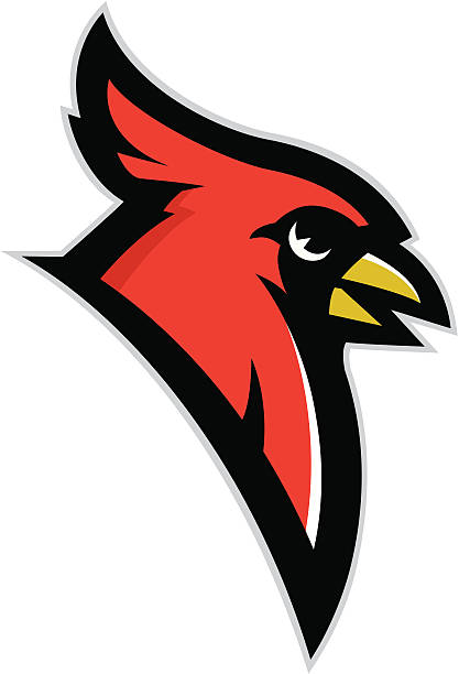 Cardinal head mascot "Stylized powerful cardinal head mascot. All Colors are separated in layers. Easy to edit. Black and white version (EPS8,JPEG) included." cardinal mascot stock illustrations