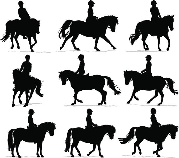Pony Rider Silhouettes Vector silhouettes of a child riding a pony in walk, trot and canter/gallop during an English riding lesson. horse outlines silhouette stock illustrations