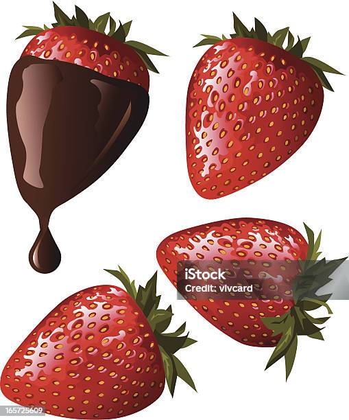초콜릿 입힌 딸기 딸기에 대한 스톡 벡터 아트 및 기타 이미지 - 딸기, 0명, 과일
