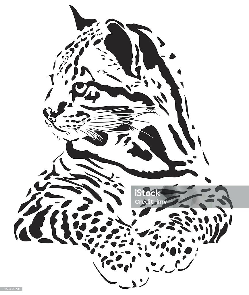 Ocelot illustrazione - arte vettoriale royalty-free di Ocelot