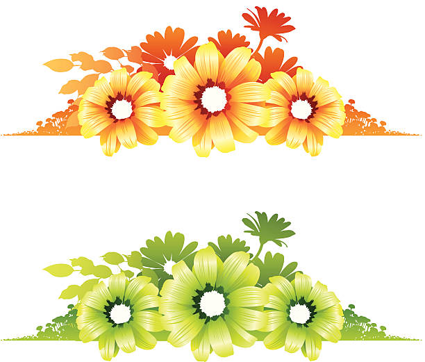 Flower designs vector art illustration