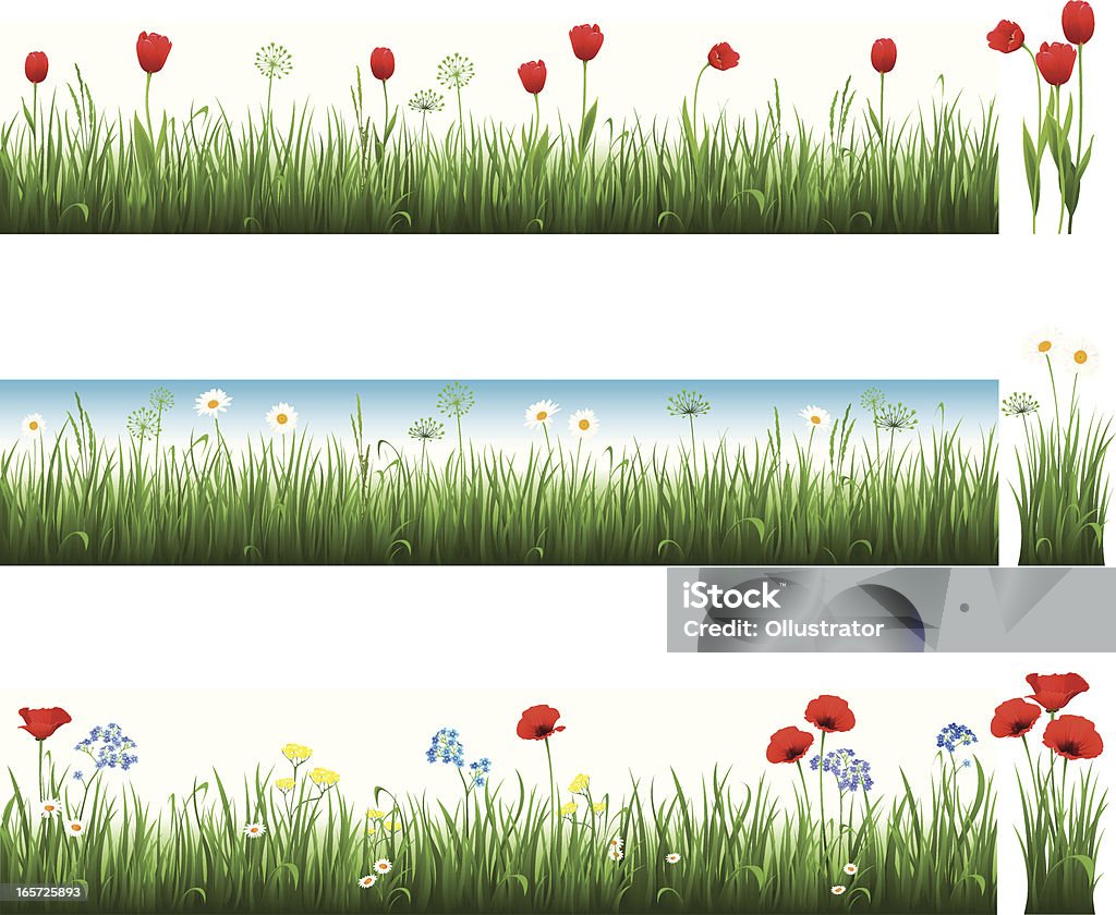 Collection de l'herbe avec tulipes camomiles et coquelicots - clipart vectoriel de Fleur - Flore libre de droits