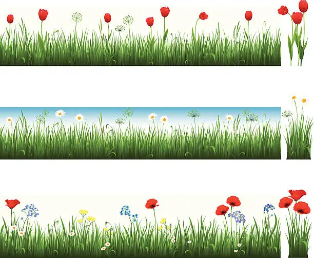 Vector illustration of Collection of grass with tulips, camomiles and poppies