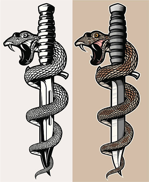 ilustrações, clipart, desenhos animados e ícones de snake & faca - snake cobra cartoon rattlesnake