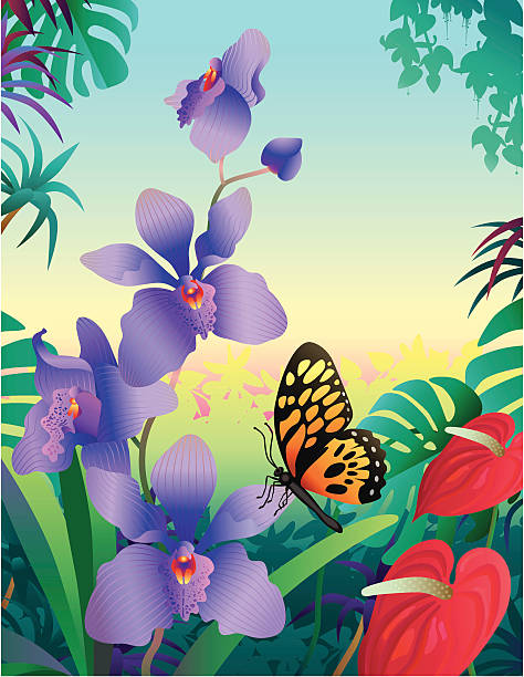 illustrazioni stock, clip art, cartoni animati e icone di tendenza di orchidea e farfalla - papilio zagreus