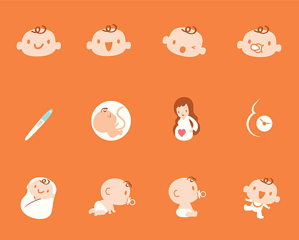 Pregnancy Birth Mother Baby Icon Set Cute style vector icons about Pregnancy, Birth, Mother, Baby. 8 months pregnant stock illustrations