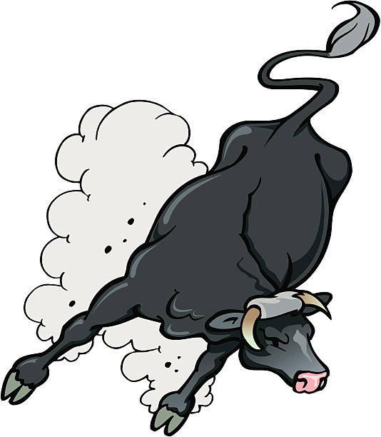 Bull Illustration of angry bull. stampeding stock illustrations