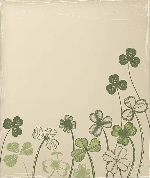 Vector illustration of Variety of clover on neutral background