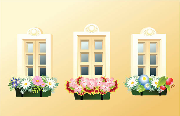 Window boxes vector art illustration