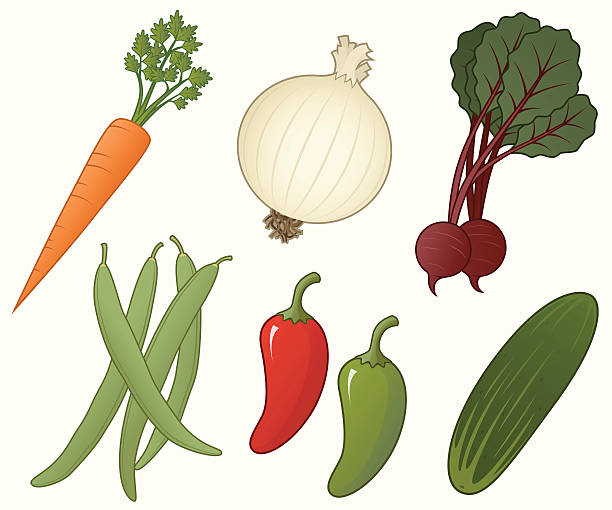 ilustraciones, imágenes clip art, dibujos animados e iconos de stock de verduras - green bean isolated food white background