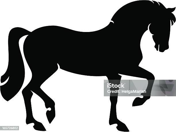 Orgulhoso Silhueta De Cavalo - Arte vetorial de stock e mais imagens de Cavalo - Família do Cavalo - Cavalo - Família do Cavalo, Andar, Silhueta