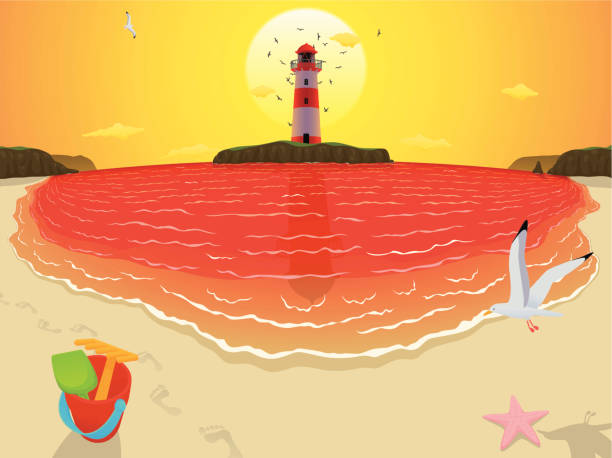 Playa & faro de la isla de ancho atardecer versión - ilustración de arte vectorial