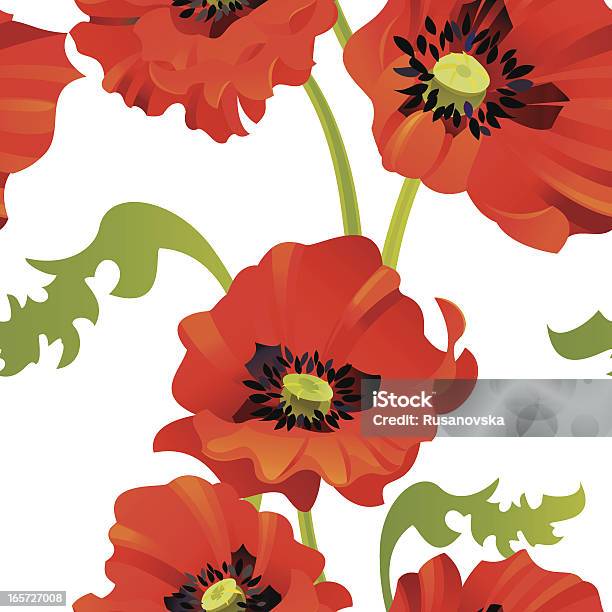 Ilustración de Poppies Patrón y más Vectores Libres de Derechos de Amapola - Planta - Amapola - Planta, Cabeza de flor, Decoración - Objeto