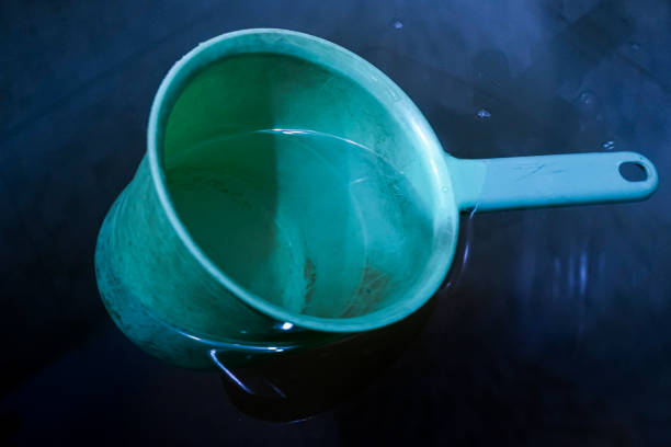 istock A dipper in the water. 1657270363