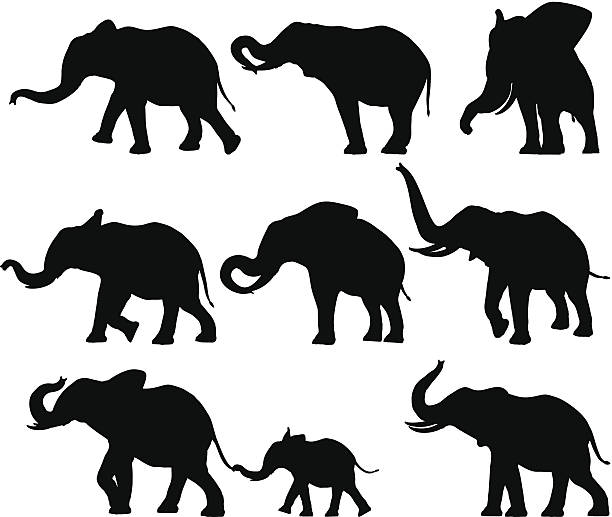 ilustraciones, imágenes clip art, dibujos animados e iconos de stock de siluetas de elefante - elefante