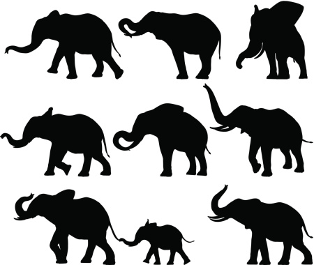 Set of design elements - Elephant Silhouettes.