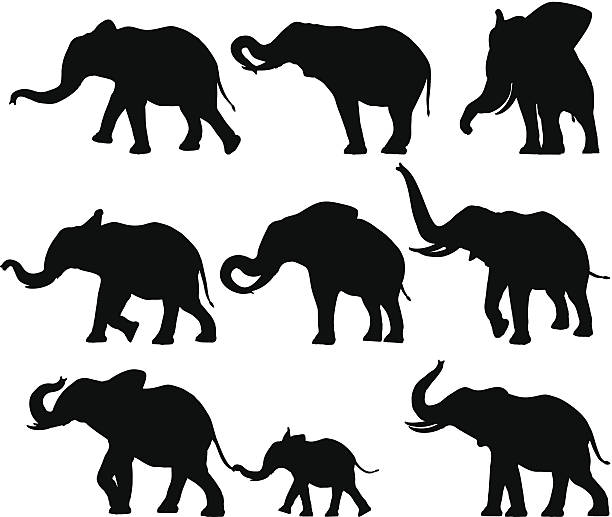 Elephant Silhouettes Set of design elements - Elephant Silhouettes. pachyderm stock illustrations