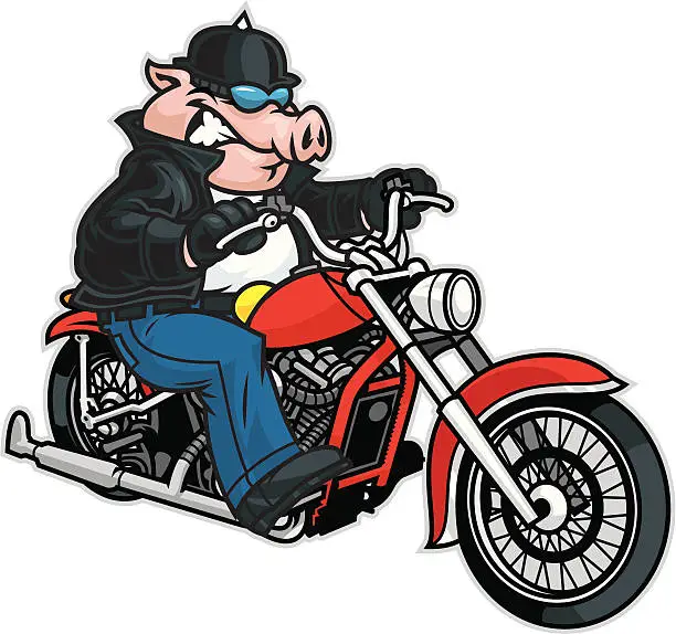 Vector illustration of Pig riding motorcycle