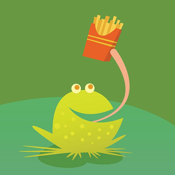 фастфуд лягушка - frog animal tongue animal eating stock illustrations