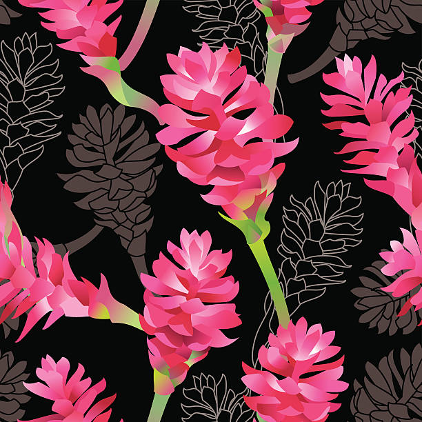 illustrazioni stock, clip art, cartoni animati e icone di tendenza di zenzero motivo (nero - ginger tropical flower flower plant