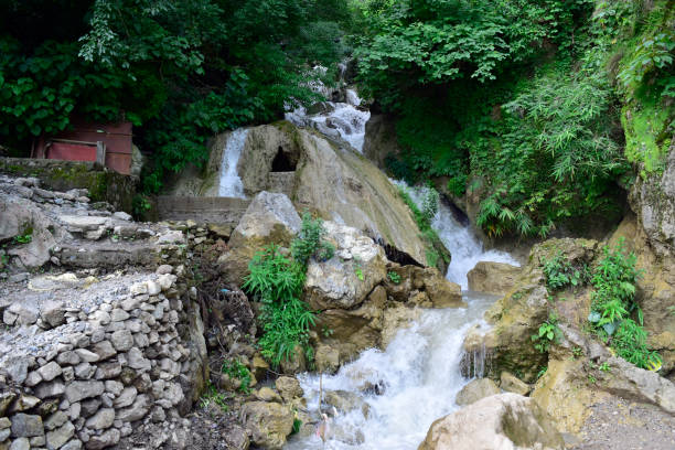 istock Water flowing from natural water resources in forest 1657282601