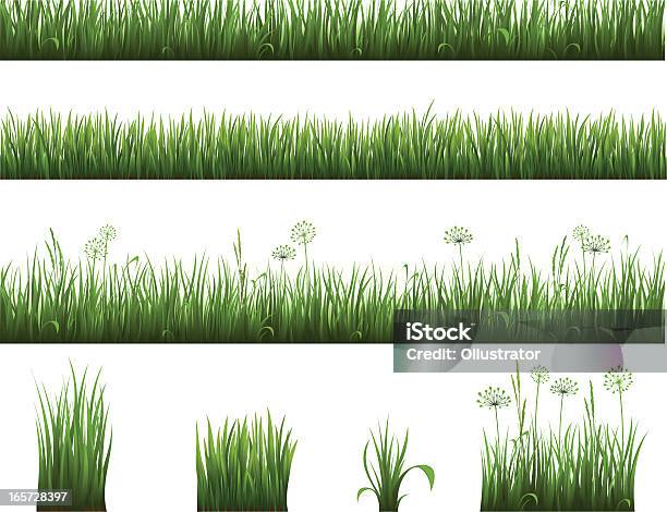 Collection Of Grass Stock Illustration - Download Image Now - Grass, Vector, Blade of Grass