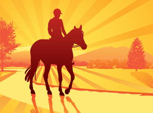 лошади rider на закате - trail ride stock illustrations